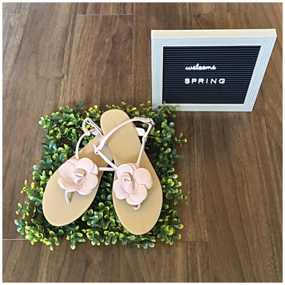 Forever 21 Shoes - Forever 21 Mauve Flower Strappy Sandal